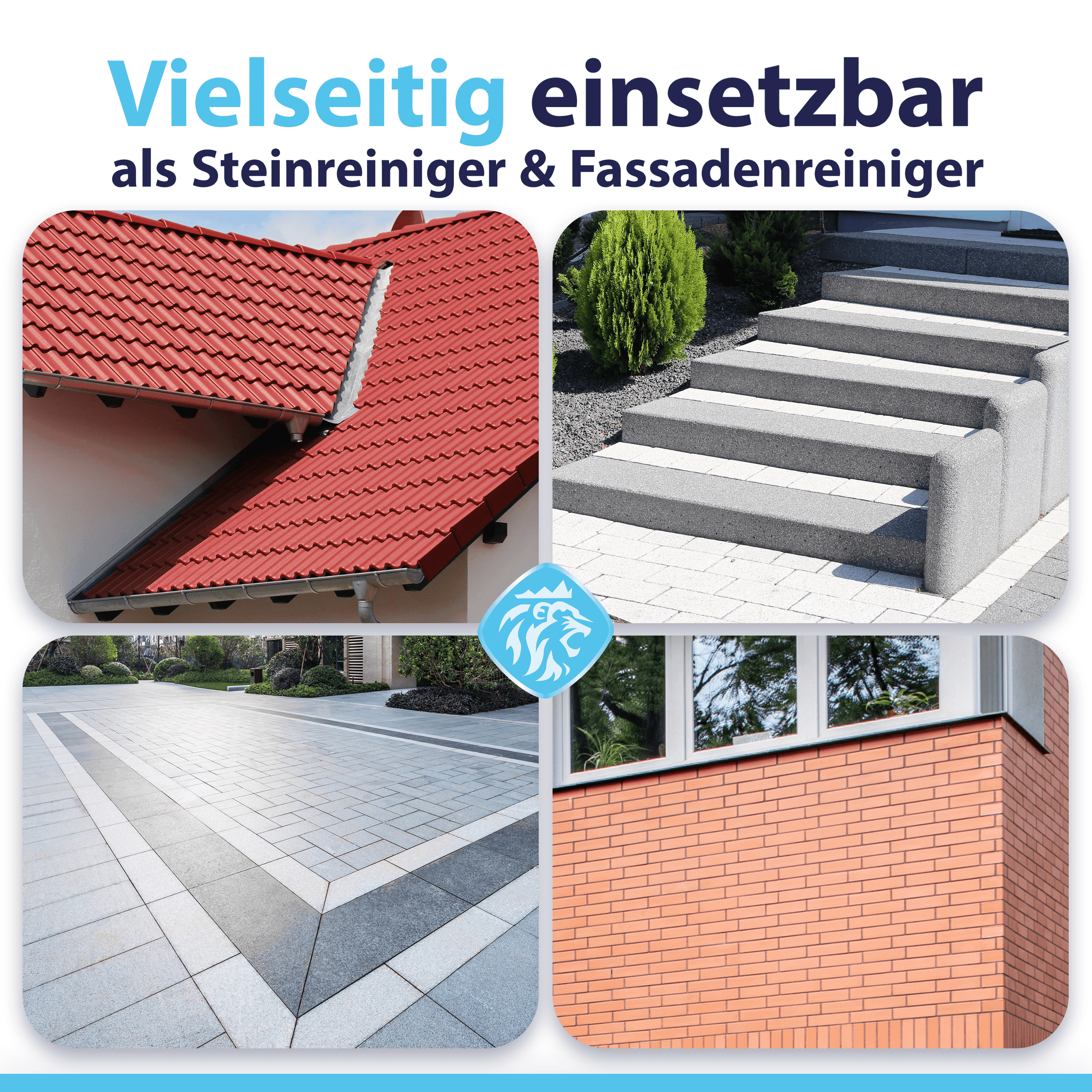 hygiene-king-zelenex-gruenbelagsentferner-steinreiniger-5l_4