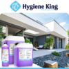 hygiene-king-zelenex-gruenbelagsentferner-steinreiniger-5l_7-scaled-13.jpg